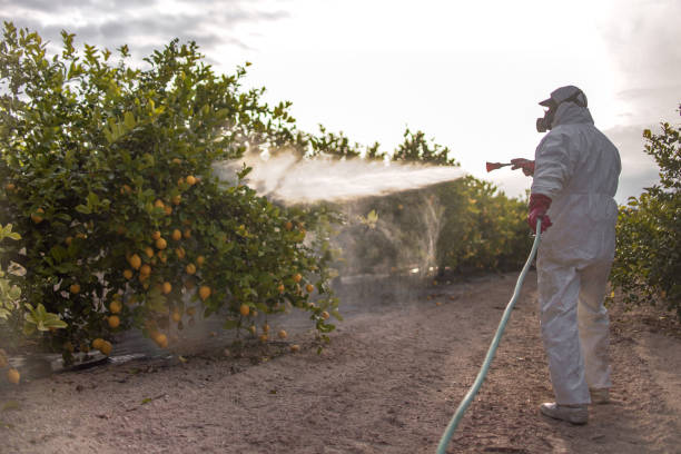 Pest Control Cost in Burgin, KY